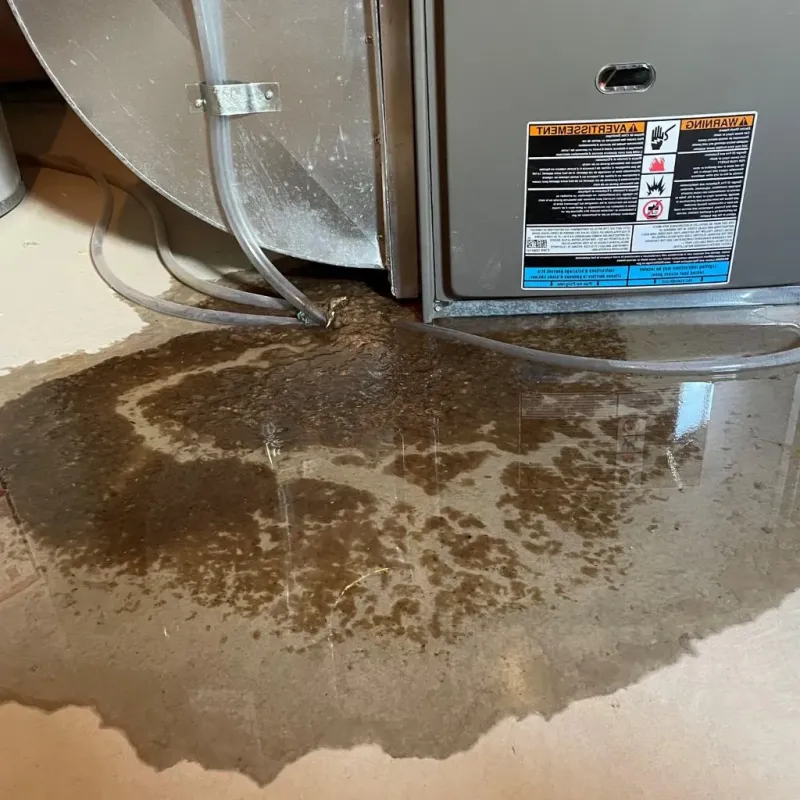 Pipe Burst and Leak Restoration in Zuni Pueblo, NM